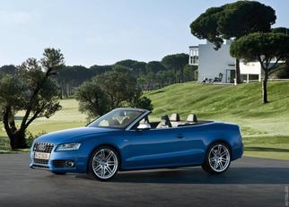  S5 Cabriolet (8T) 2009-2011
